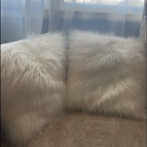 Euro white fully pillows